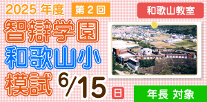 模試